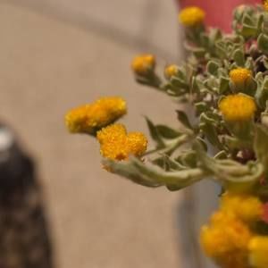 Meet your Posher, Ashlie